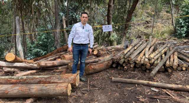 La CAR suspendió actividades de tala ilegal y minería en Suesca, vereda Barrancas. En el lugar se encontraron 700 troncos de madera y áreas de producción de carbón vegetal sin permiso ambiental.