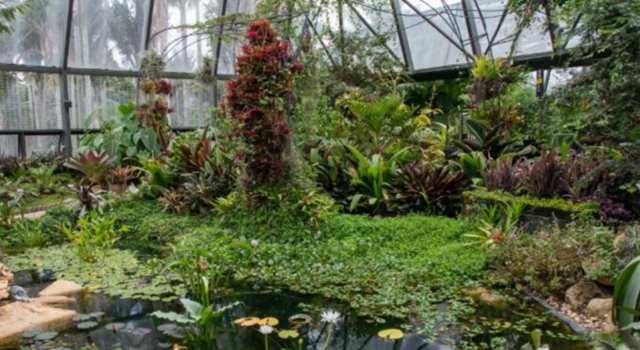 Disfrutar de la naturaleza sin salir de la ciudad sí es posible. El Jardín Botánico de Bogotá tendrá horarios extendidos y experiencias para grandes y chicos durante la Semana Mayor.