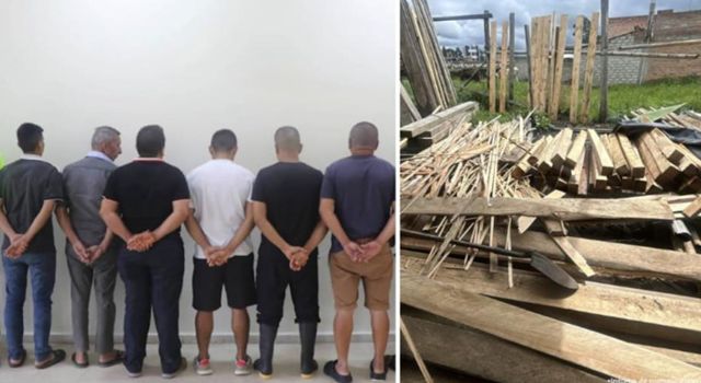 Ocho personas fueron capturadas por liderar una estructura que extraía madera del Amazonas. El material era almacenado y comercializado en grandes ciudades y enviado incluso a Ecuador.