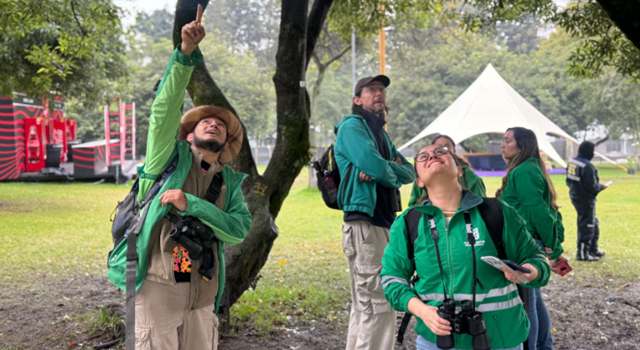 El Festival Estéreo Picnic fue monitoreado por autoridades y veedurías ciudadanas para evaluar su impacto ambiental. Se realizaron seguimientos sobre ruido, avifauna y el estado del parque.
