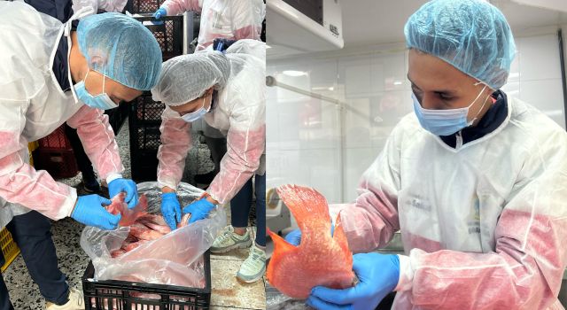 Alcaldía de Soacha decomisó pescado en mal estado: Así puede identificarlo en Semana Santa