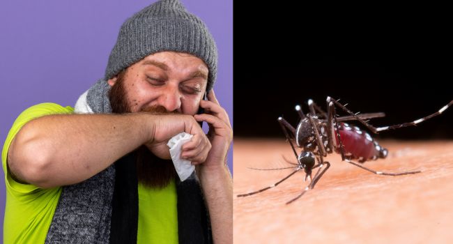 Alerta por dengue y aumento de infecciones respiratorias: los municipios de Cundinamarca más afectados