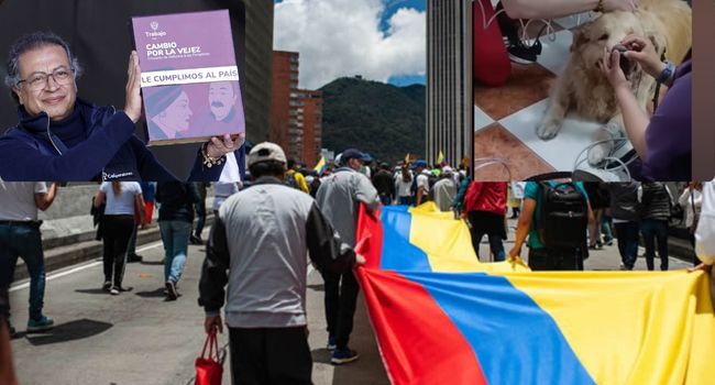 Desde el rechazo a la reforma pensional hasta un caso que ha causado indignación por presunto maltrato animal, Bogotá se prepara para una semana de protestas ciudadanas que buscan visibilizar distintas causas.