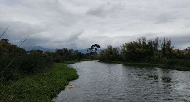 Tres días después de ser reportado como desaparecido, las autoridades hallaron el cuerpo de un joven en un humedal de Bogotá; las circunstancias aún están por esclarecerse.