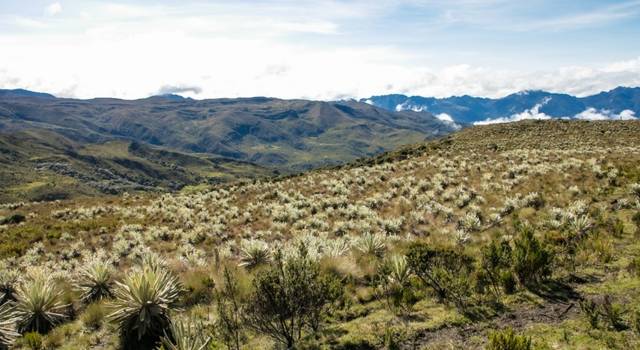 Recuperan espacio afectado por residuos en la entrada a un importante páramo de Bogotá