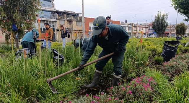 Acciones de poda y riego buscan proteger la biodiversidad urbana en Engativá