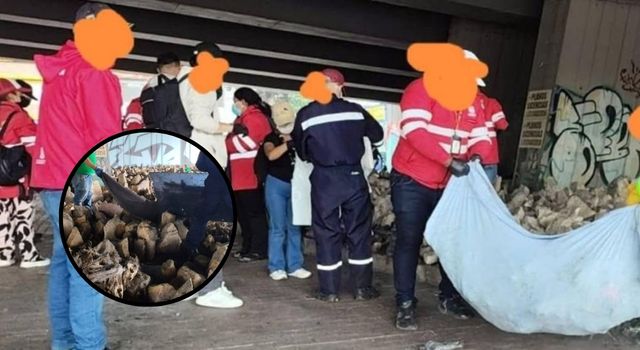 Autoridades aclaran el origen de restos óseos hallados en Puente Aranda