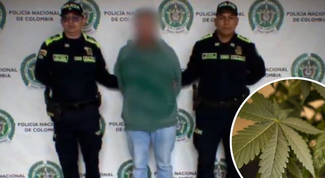 En vivienda del sur de Bogotá cultivaban droga exótica para bares y discotecas