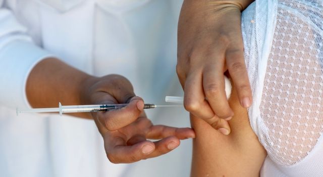 Alerta en Cundinamarca: activan plan masivo de vacunación contra fiebre amarilla