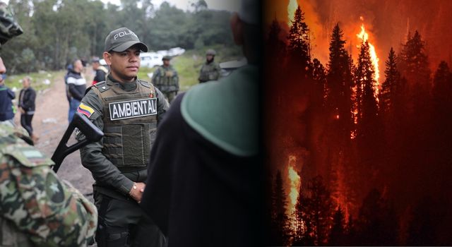 Así fue la captura de un hombre por actividad ilegal que ponía en riesgo ecosistemas en Cundinamarca