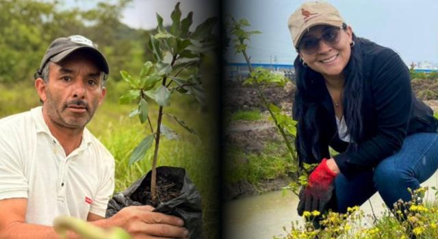 Cundinamarca no se detiene: ya está cerca del millón de árboles sembrados