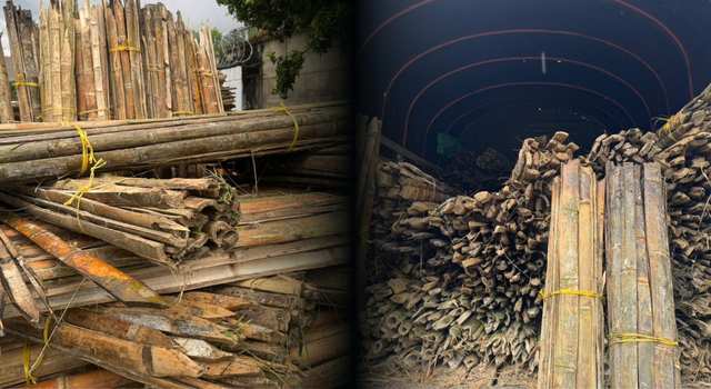 Operativos en Cundinamarca dejan incautación de madera sin documentación