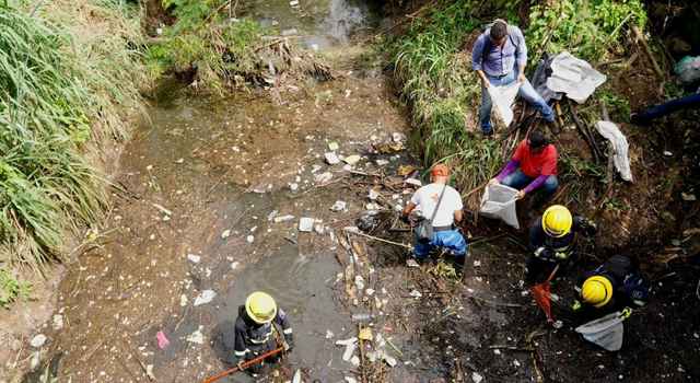 Preocupación en Girardot: nutria apareció en caño rodeado de basura y desechos