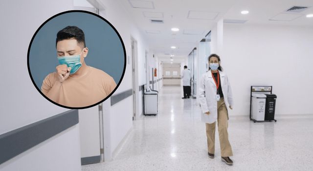 ¿Qué es el hantavirus? Bogotá fortalece vigilancia tras reporte internacional