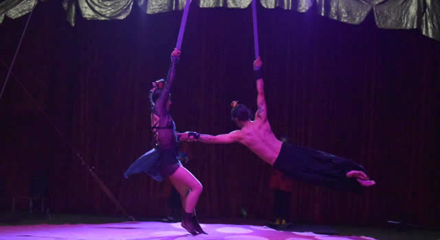 Circo en Soacha: cerca de 4.500 asistentes participaron en el festival cultural