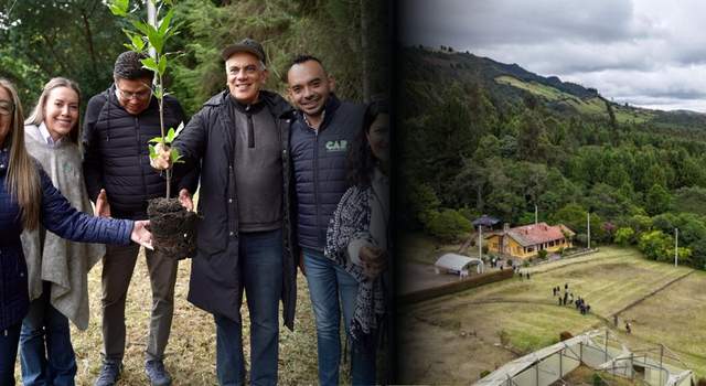 Cundinamarca tendrá su primer jardín botánico de páramo: así será el megaproyecto ambiental de la CAR
