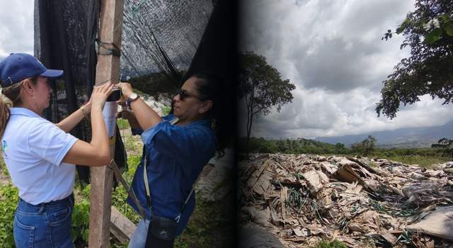 Proyecto solar queda bajo investigación por presuntas afectaciones ambientales en Cundinamarca