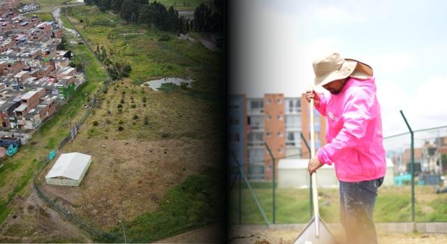 Así quedó el humedal Santa Ana tras una millonaria intervención en Soacha