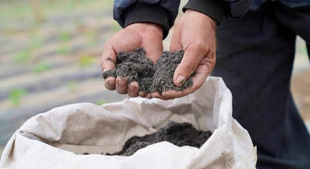 Buchón de agua: de plaga ambiental a fertilizante