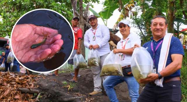 Más peces para el Magdalena: Cundinamarca busca recuperar especies y apoyar a los pescadores